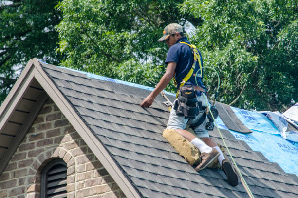 Best Metal Roofing Contractor  in Cortland, IL